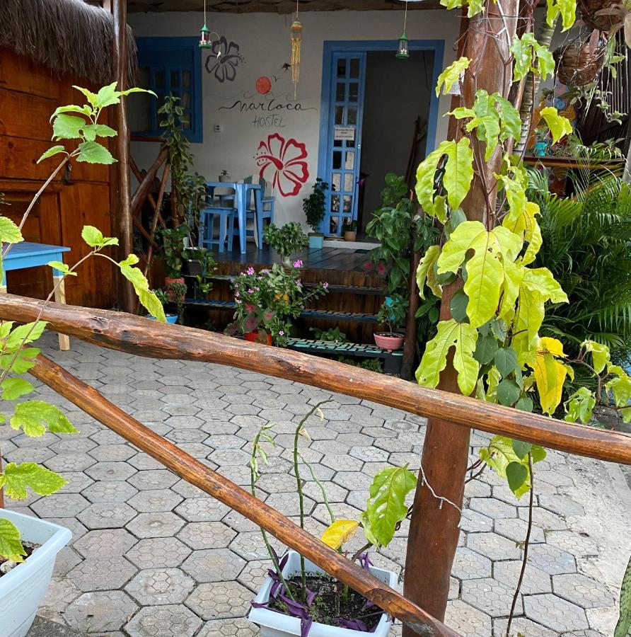 Aurora Hostel Praia de Pipa Extérieur photo